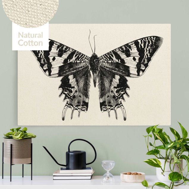 Canvastavlor schemtterlings Illustration Flying Madagascan Butterfly