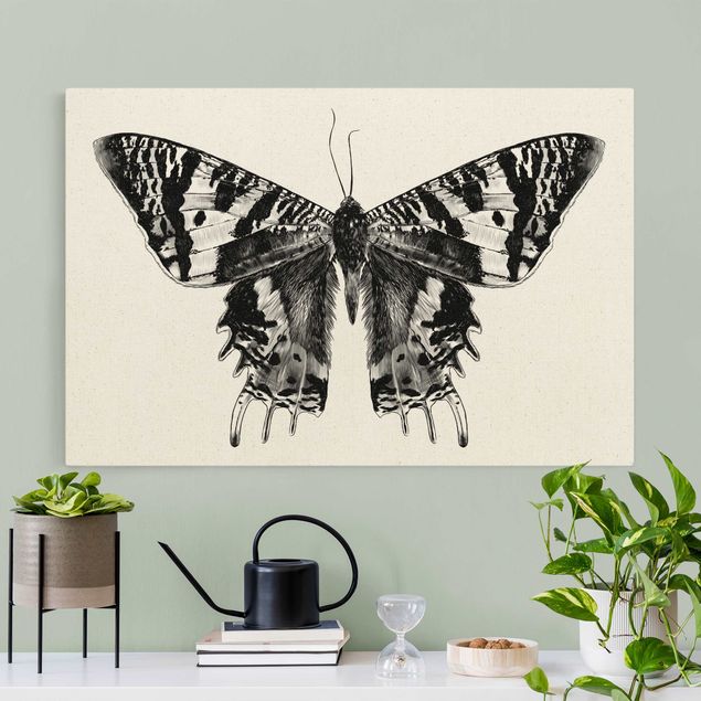 Tavlor fjärilar Illustration Flying Madagascan Butterfly