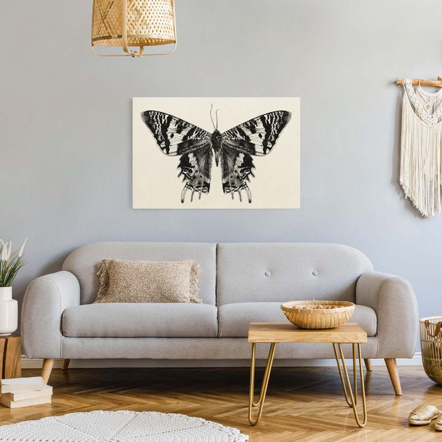 Canvastavlor djur Illustration Flying Madagascan Butterfly