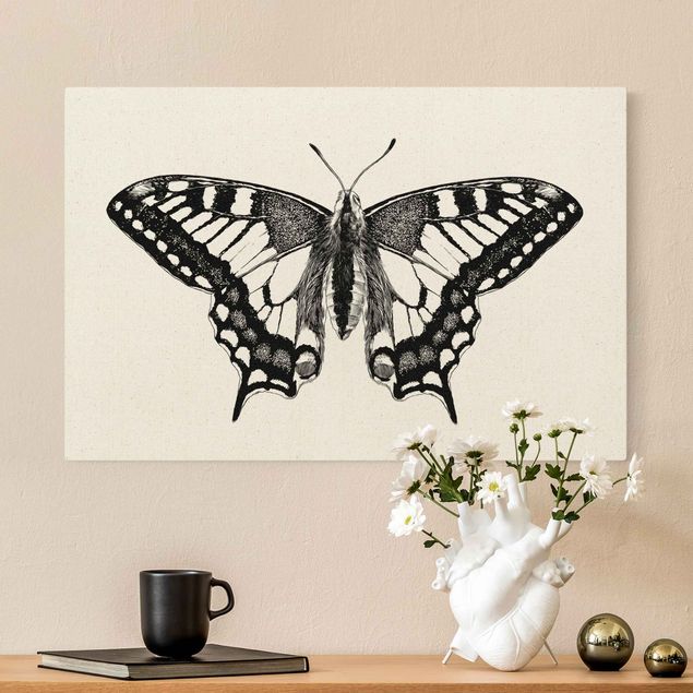 Tavlor fjärilar Illustration Flying Dovetail Black