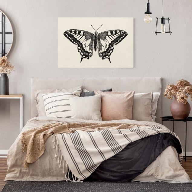 Tavlor modernt Illustration Flying Dovetail Black