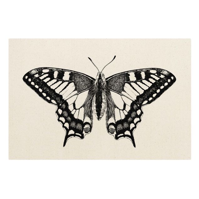 Tavlor djur Illustration Flying Dovetail Black