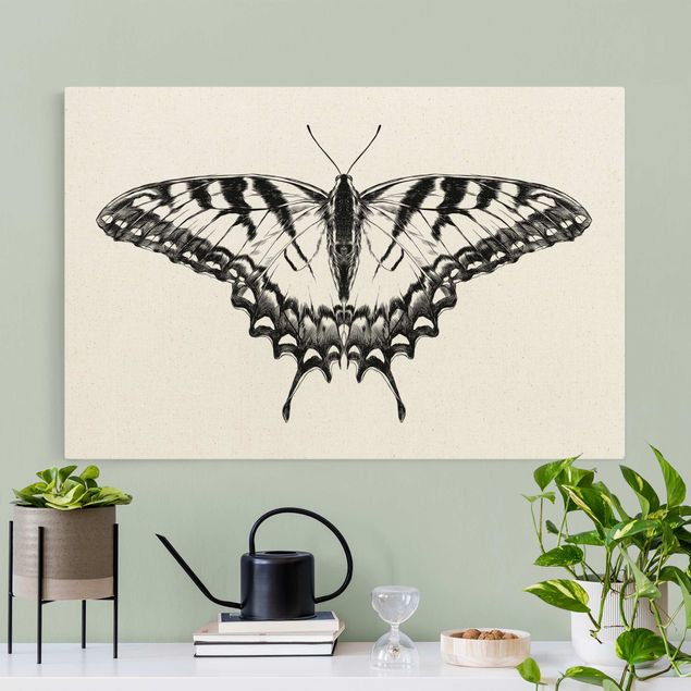 Canvastavlor tigrar Illustration Flying Tiger Swallowtail Black