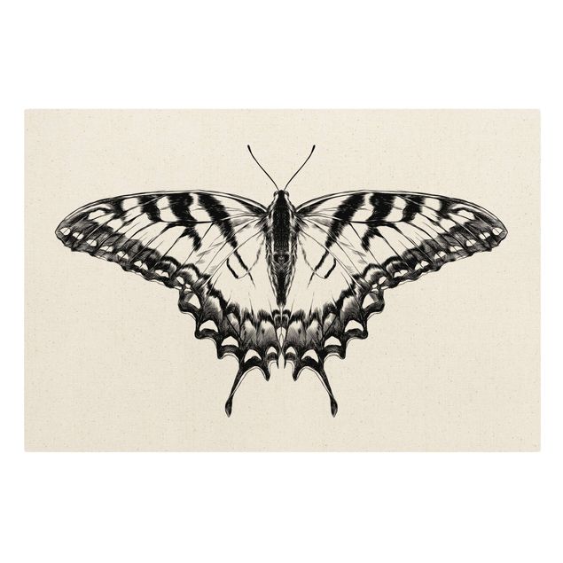 Canvastavlor djur Illustration Flying Tiger Swallowtail Black