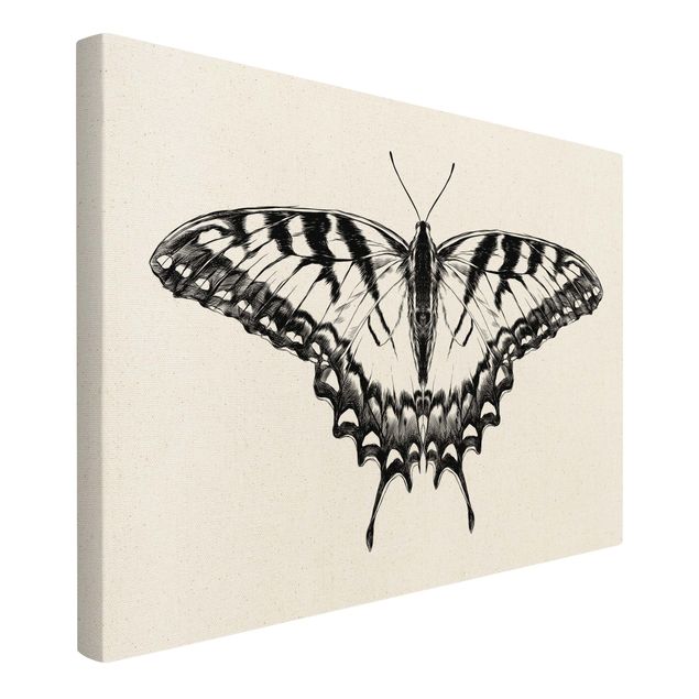 Tavlor modernt Illustration Flying Tiger Swallowtail Black
