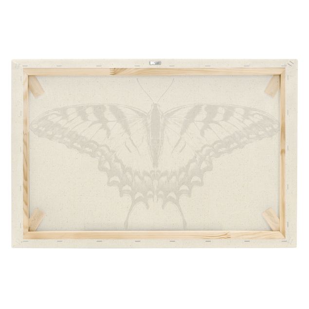 Tavlor svart Illustration Flying Tiger Swallowtail Black