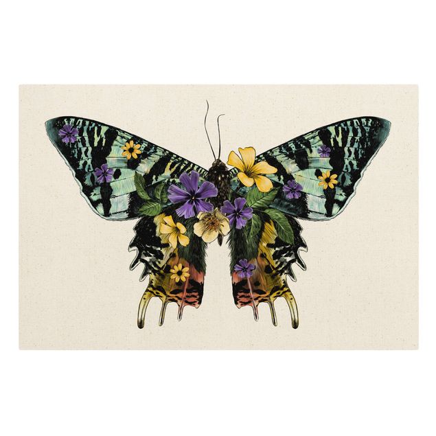 Tavlor djur Illustration Floral Madagascan Butterfly