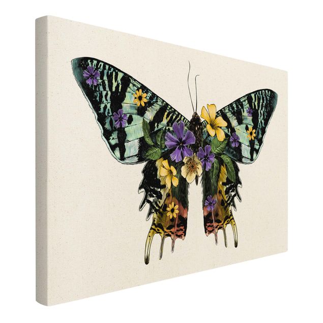 Tavlor färgglada Illustration Floral Madagascan Butterfly