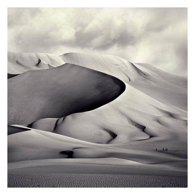 Fototapeter svart och vitt In The South Of The Sahara