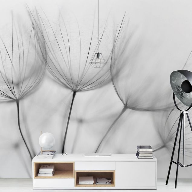 Tapeter modernt Inside A Dandelion Black And White