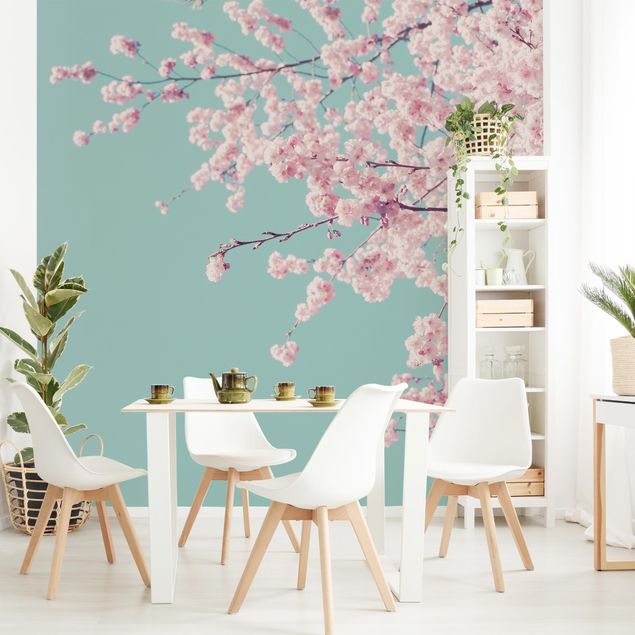 Tapeter lantlig Japanese Cherry Blossoms