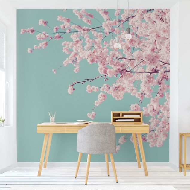 Tapeter modernt Japanese Cherry Blossoms