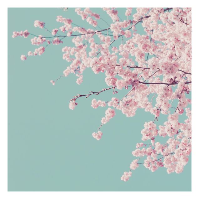 Tavlor Monika Strigel Japanese Cherry Blossoms