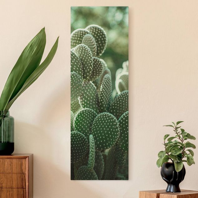 Canvastavlor blommor  Cacti