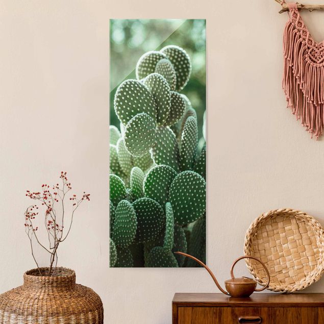 Kök dekoration Cacti