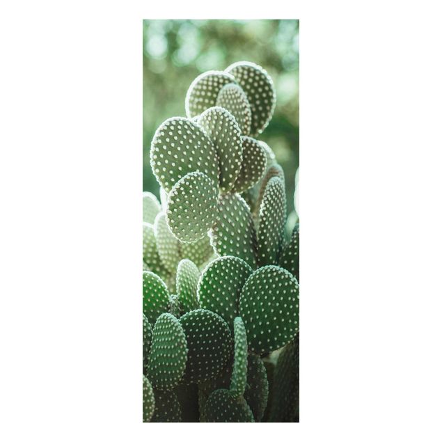 Tavlor grön Cacti