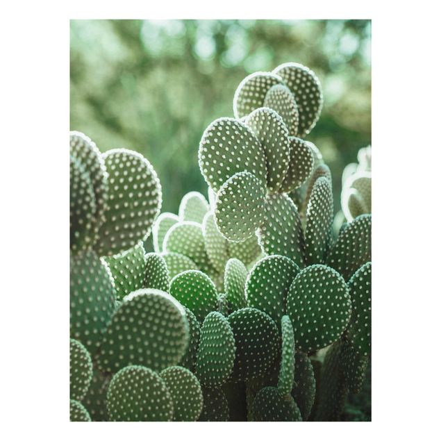 Tavlor grön Cacti