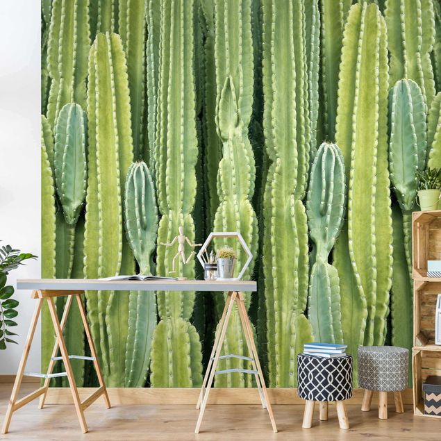 Tapeter modernt Cactus Wall