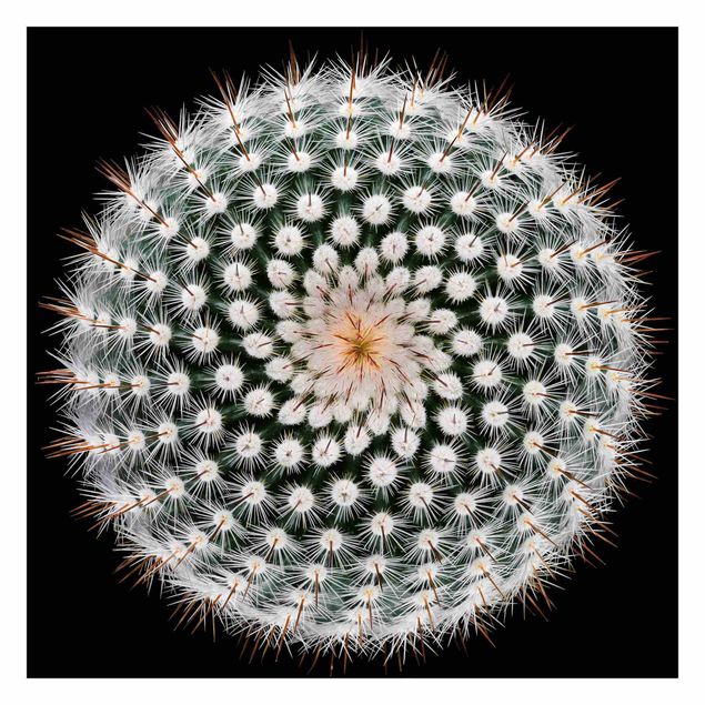 Tapeter Cactus Flower