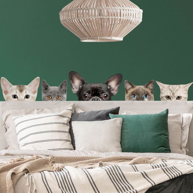 Autocolantes de parede cães Cats with dog look