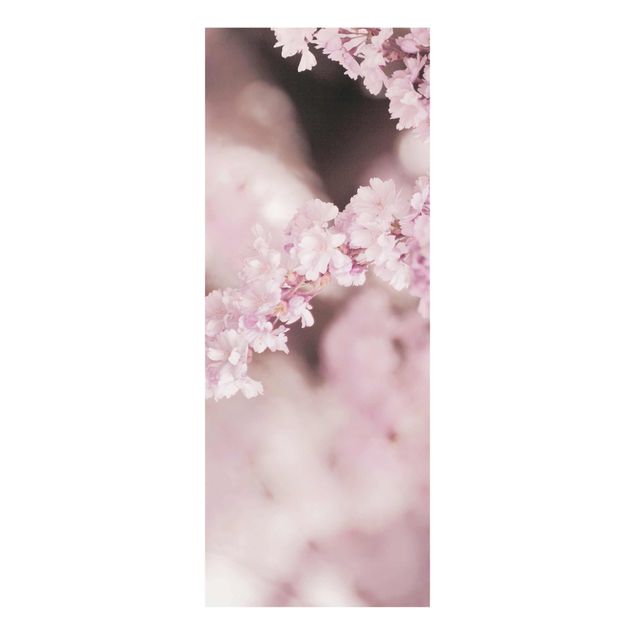 Tavlor brun Cherry Blossoms In Purple Light