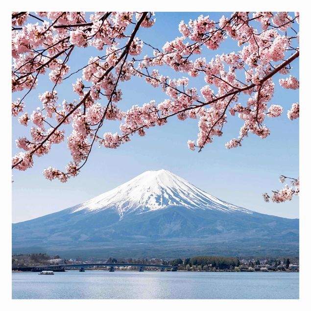 Fototapeter blå Cherry Blossoms With Mt. Fuji