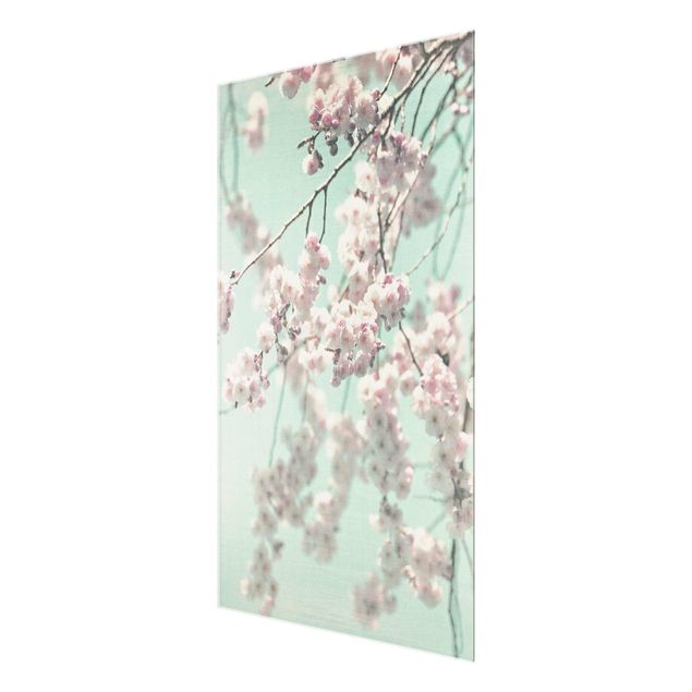 Tavlor Dancing Cherry Blossoms On Canvas