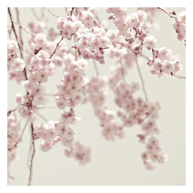 Kök dekoration Dancing Cherry Blossoms