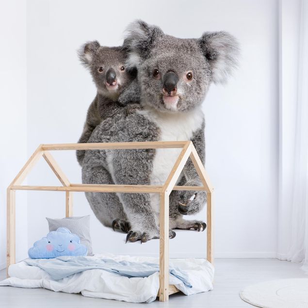 Tapeter Koala Bears