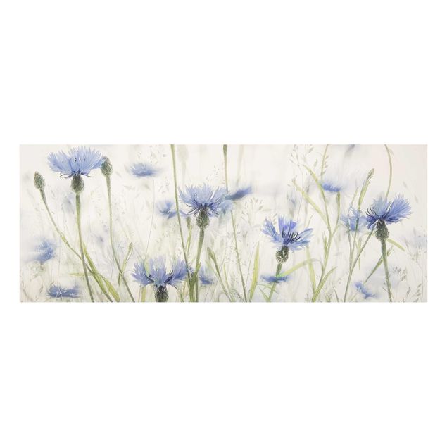 Tavlor lila Cornflowers And Grasses In A Field