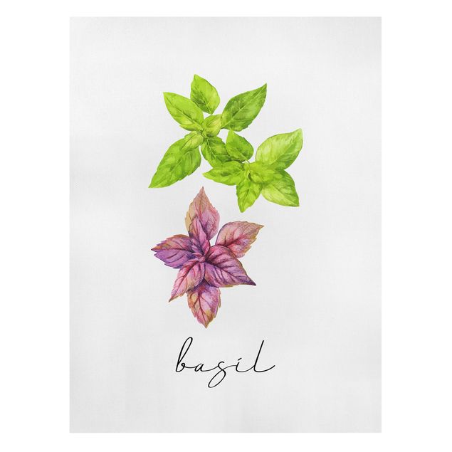 Tavlor blommor Herbs Illustration Basil