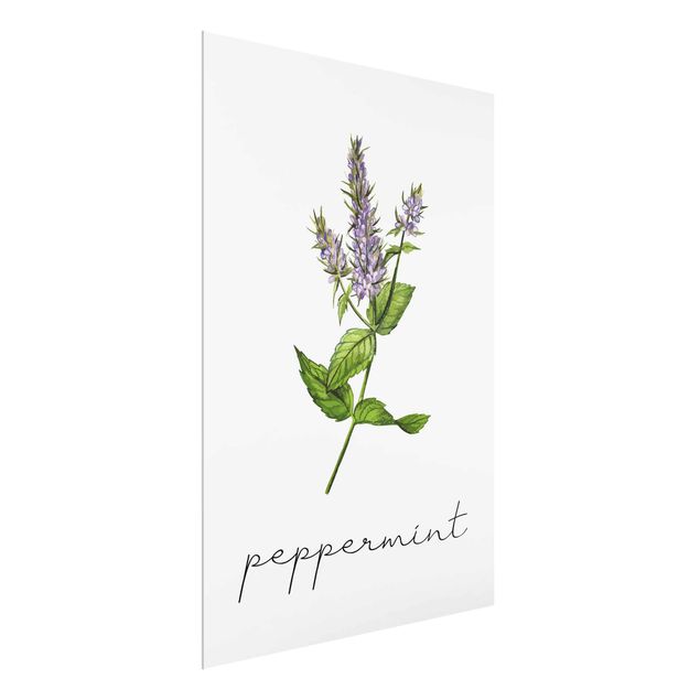 Tavlor blommor Herbs Illustration Pepper Mint