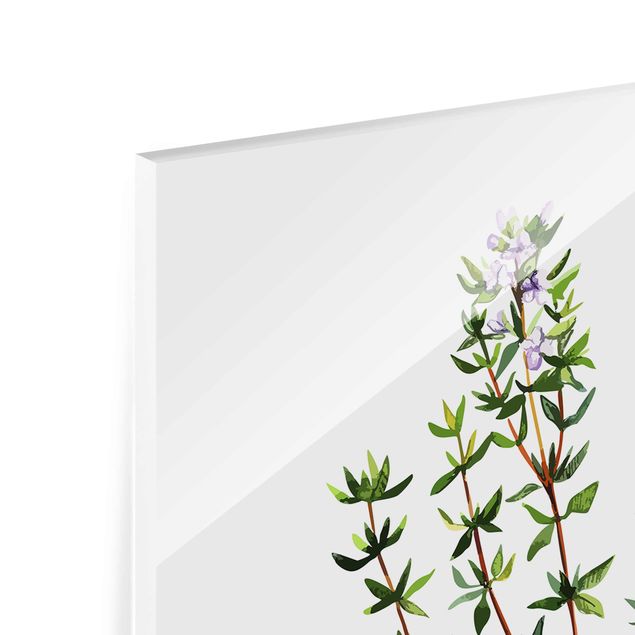 Magnettafel Glas Herbs Illustration Thyme