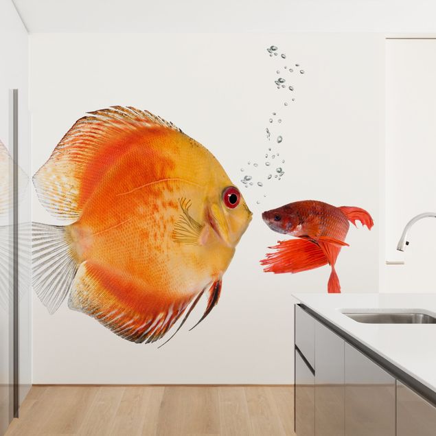 Kök dekoration Kissing Fish