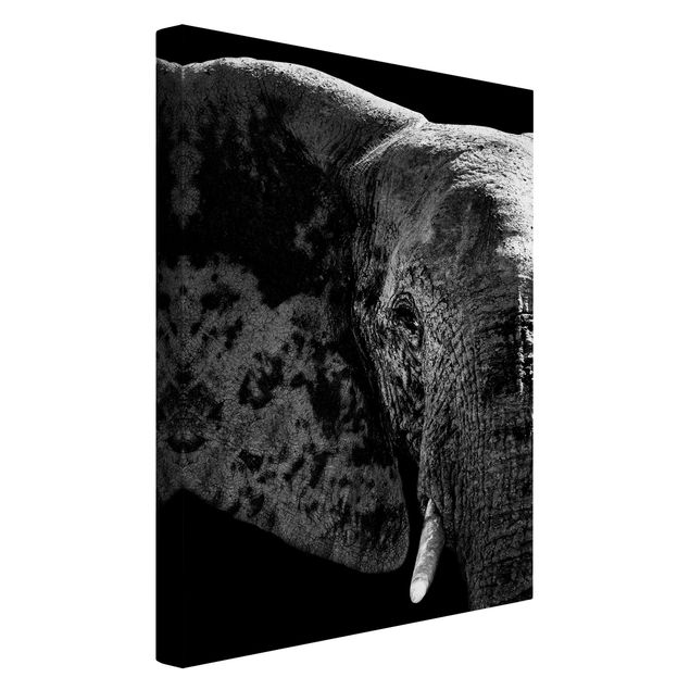Canvastavlor Afrika African Elephant black and white