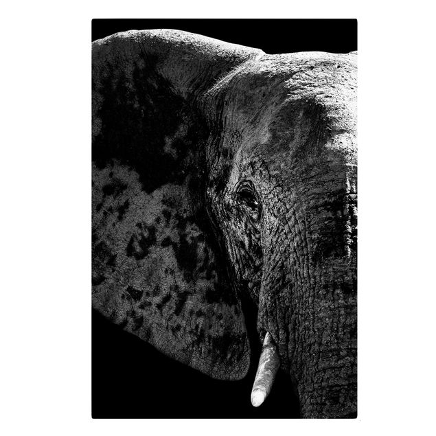 Canvastavlor svart och vitt African Elephant black and white