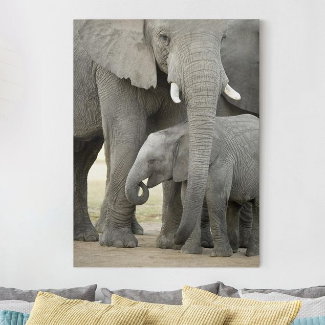 Canvastavlor elefanter Elephant Love