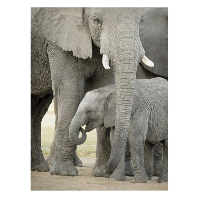 Tavlor Afrika Elephant Love