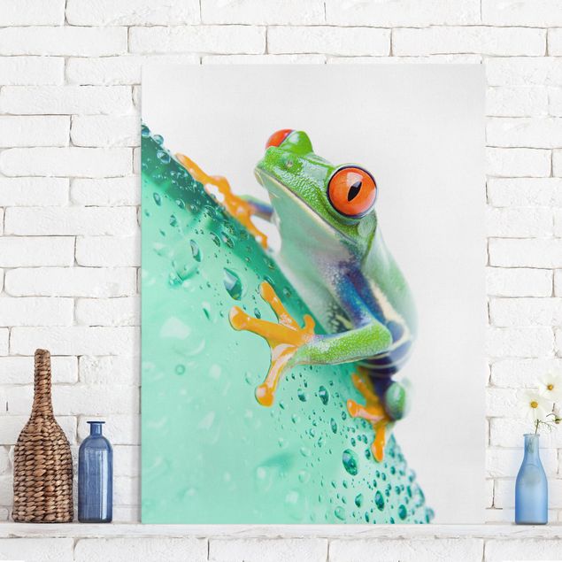 Kök dekoration Frog
