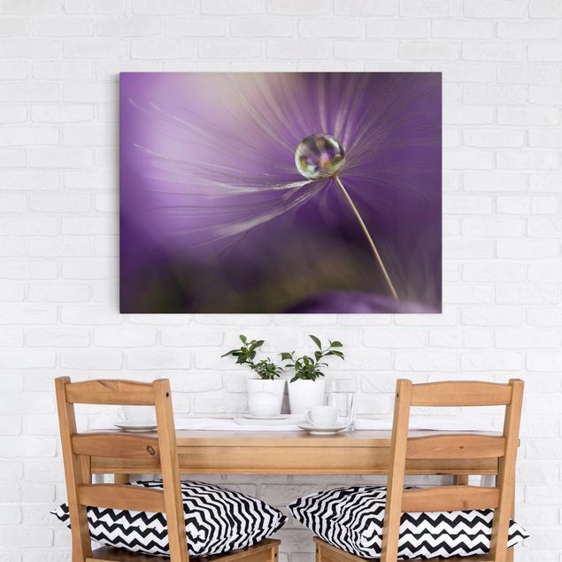 Canvastavlor blommor  Dandelion In Violet