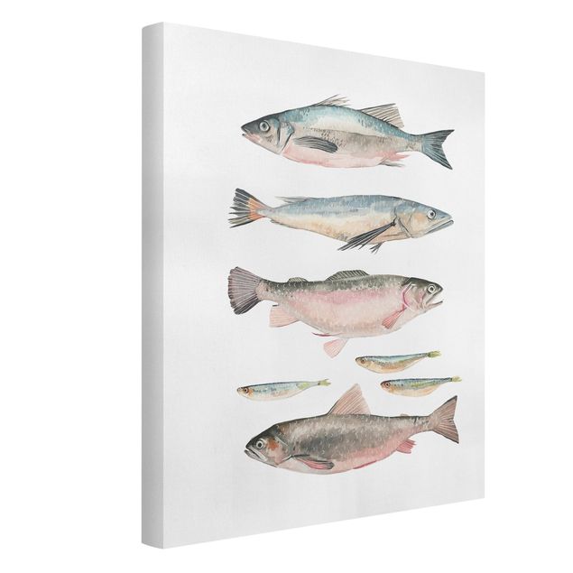 Canvastavlor djur Seven Fish In Watercolour I