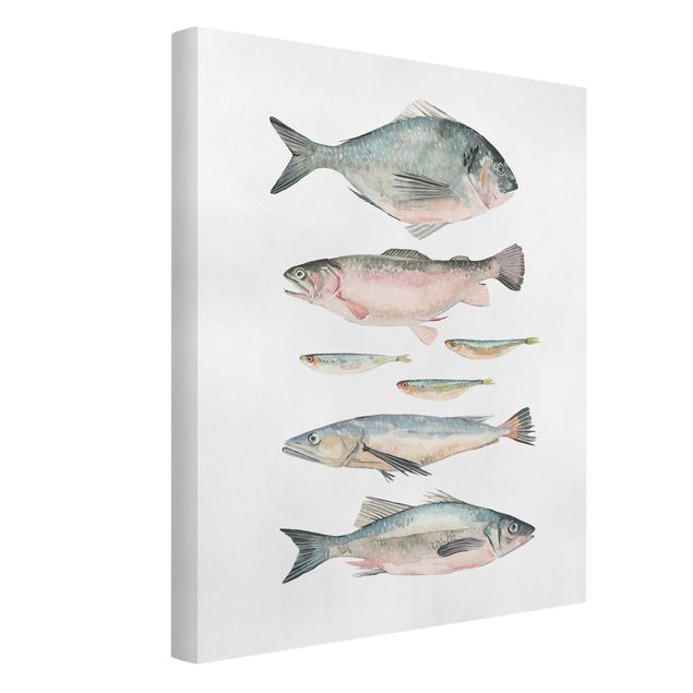 Canvastavlor djur Seven Fish In Watercolour II