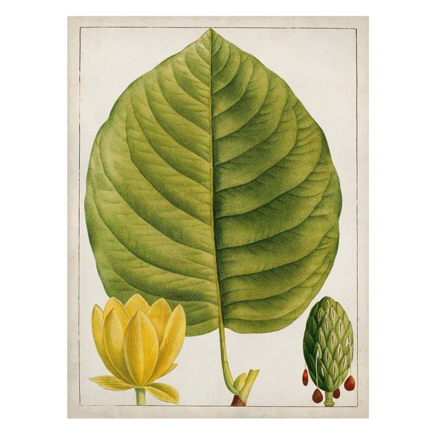Tavlor grön Tableau Leaf Flower Fruit I