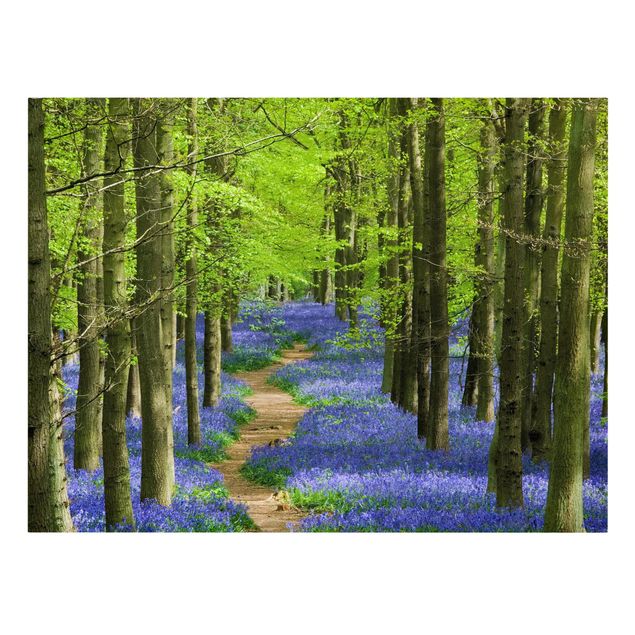 Canvastavlor landskap Trail in Hertfordshire