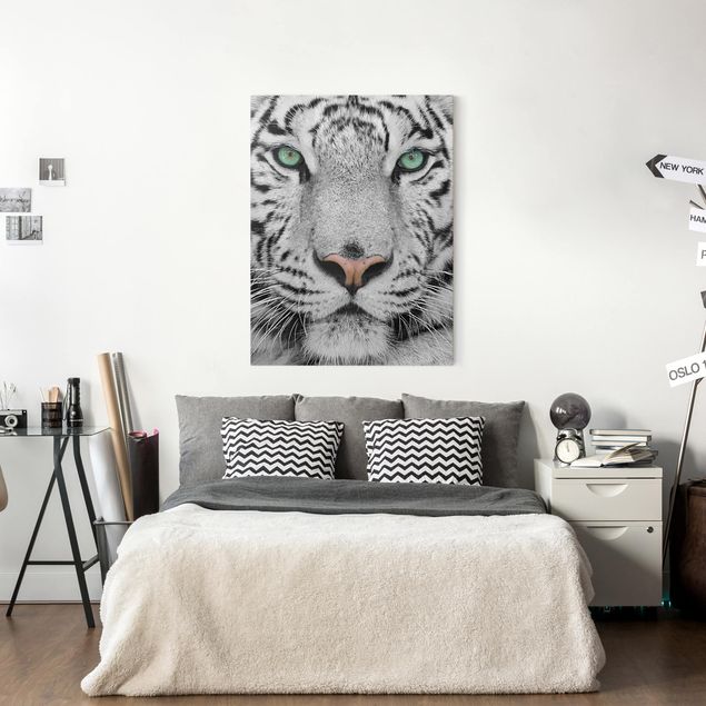 Canvastavlor katter White Tiger