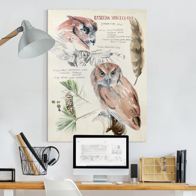 Canvastavlor blommor  Wilderness Journal - Owl