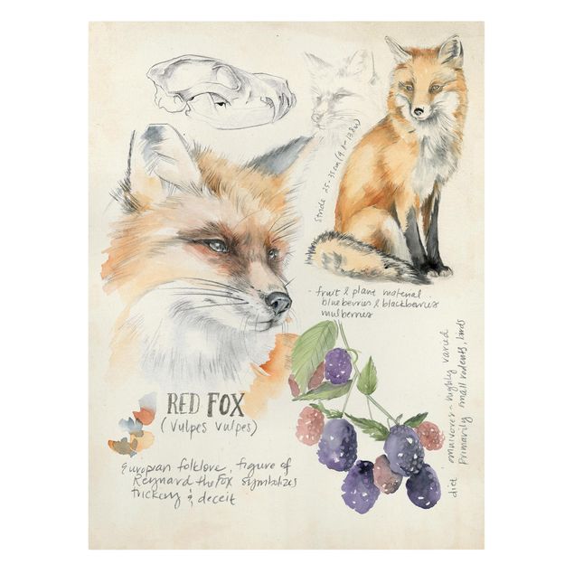 Tavlor orange Wilderness Journal - Fox