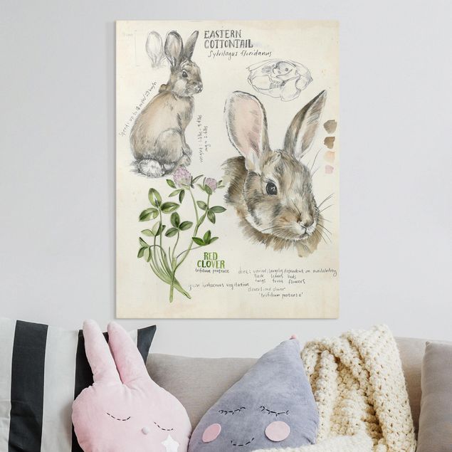Canvastavlor blommor  Wilderness Journal - Rabbit
