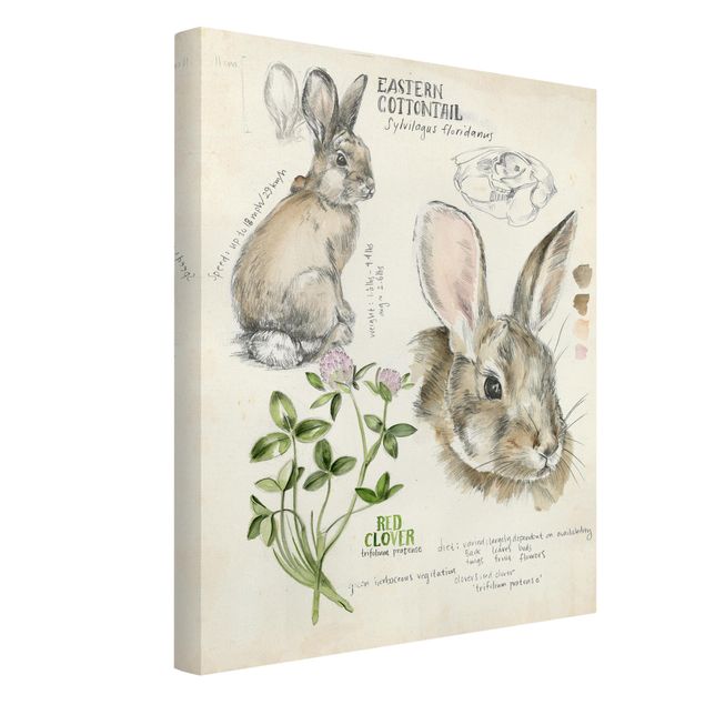 Tavlor blommor  Wilderness Journal - Rabbit