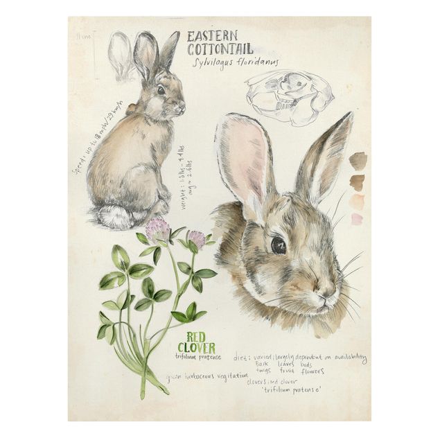 Tavlor brun Wilderness Journal - Rabbit